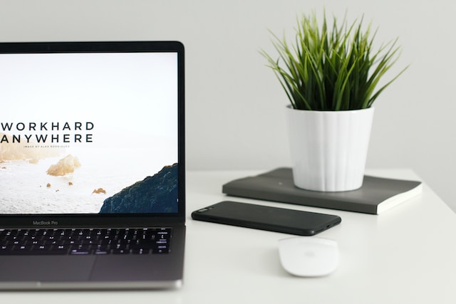 kevin-bhagat-zNRITe8NPqY-unsplash kevin-bhagat-zNRITe8NPqY-unsplash